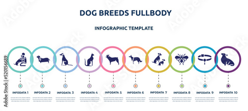 dog breeds fullbody concept infographic design template. included hughing dog, bas hound, pointer dog, egyptian cat, french bulldog, collie, and doggie, psocoptera, corgi icons and 10 option or