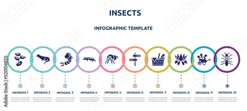 Fotografija insects concept infographic design template