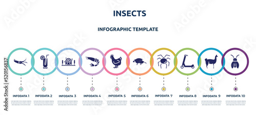 insects concept infographic design template. included squid, lemonade, underwater photography, , hen, porcupine, opiliones, scooter, cicada icons and 10 option or steps.