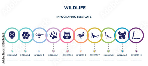 Fotografija wildlife concept infographic design template