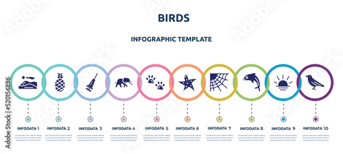 birds concept infographic design template. included dunes, pine, vaccine, elephants, pawprints, starfish, cobweb, dolphin, crow icons and 10 option or steps.