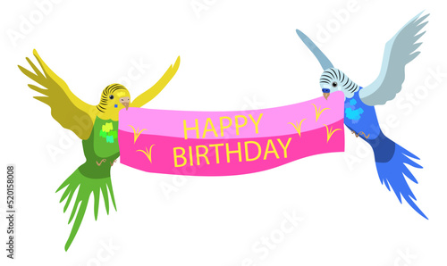 Colorful budgie birds, celebration of Birthday