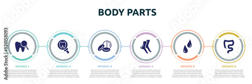 body parts concept infographic design template. included zoom on tooth, tooth zoom, drugs capsules and pills, tiptoe feet, sweat or tear drop, large intestine icons and 6 option or steps.