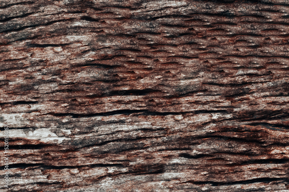 grunge brown and ghray wood texture background grunge brown and ghray wood texture background