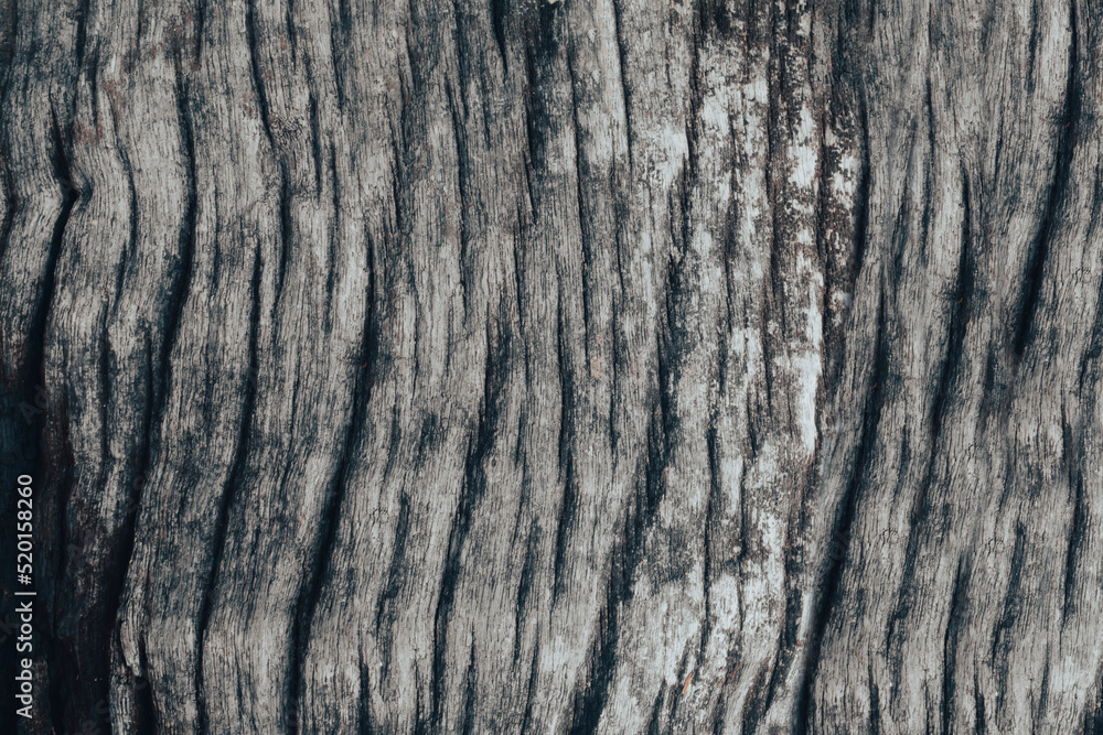 gray wood pattern texture background gray wood pattern texture background