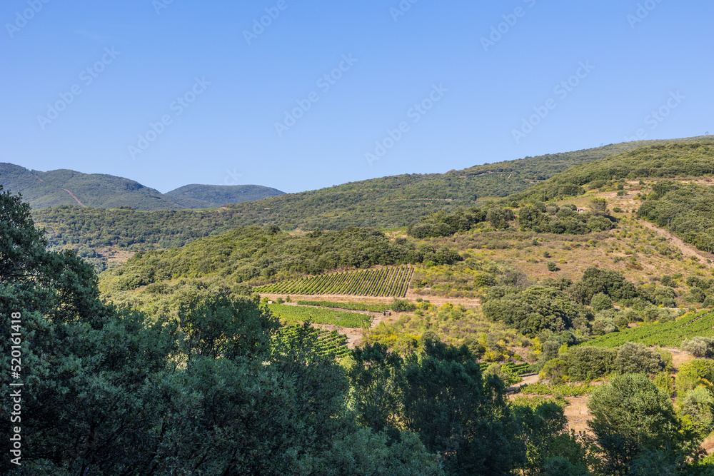 Montagnes et vignobles autour de l'Orb au Hameau de Ceps à Roquebrun, dans le Parc naturel régional du Haut-Languedoc