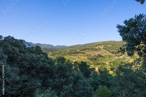 Montagnes et vignobles autour de l'Orb au Hameau de Ceps à Roquebrun, dans le Parc naturel régional du Haut-Languedoc photo