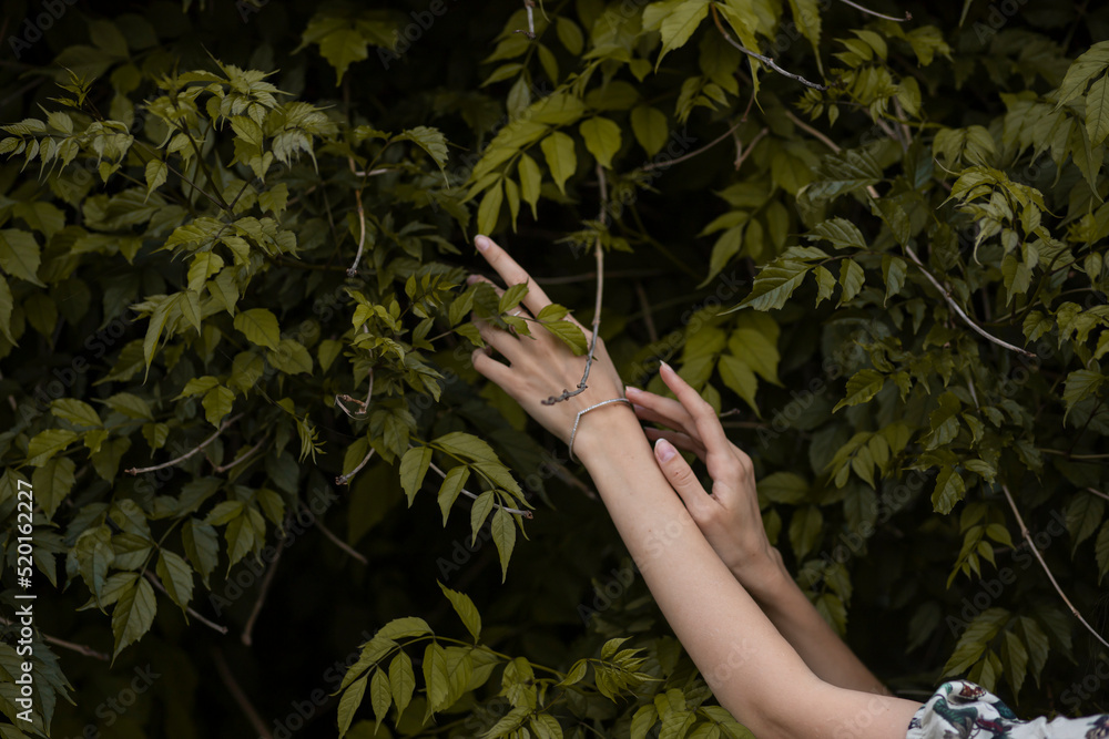 perfect long woman hand in forest green leaves perfect long woman hand in forest green leaves