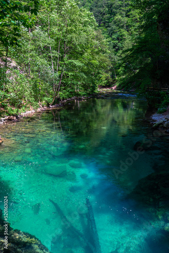 Beautiful view of the turquoise transparent stream water in Vintgar Gorge near Lake Bled in summer, Upper Carniola, Slovenia