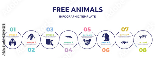 free animals concept infographic design template. included bas hound dog head, sheep head, hog head, sitting anteater, funny dog eagle big salmon, swimming turtle icons and 8 option or steps.