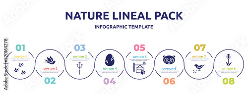 Fototapeta Naklejka Na Ścianę i Meble -  nature lineal pack concept infographic design template. included birds group, black bird, trident, egg with a crack, pet hotel, panda face, bird eating seeds, tulips icons and 8 option or steps.
