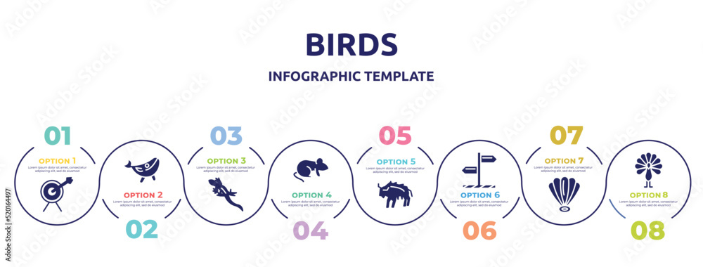 birds concept infographic design template. included archery, blue whale, lizard, rat, bison, direction, shell, peacock icons and 8 option or steps.