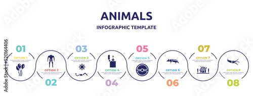 animals concept infographic design template. included balloons, diving suit, sunba, lighter, steering wheel, badger, underwater photography, squid icons and 8 option or steps. photo