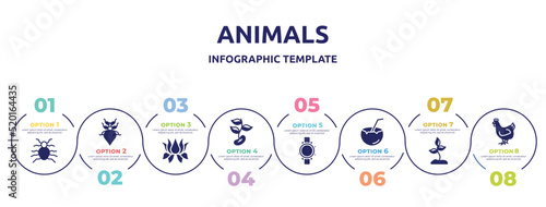 animals concept infographic design template. included flea, leaf insect, lotus flower, beans, diving watch, coconut drink, soil, hen icons and 8 option or steps.