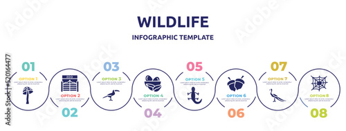 wildlife concept infographic design template. included amanita, zoo, toucan, nest, lizard, hazelnut, peacock, cobweb icons and 8 option or steps.