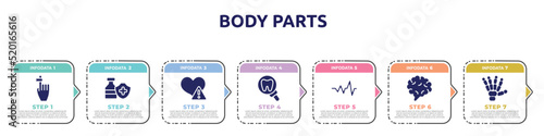 body parts concept infographic design template. included hand finger with a ribbon, immunity drugs, disease, tooth zoom, cardiac graphic, brain body organ, human hand bones icons and 7 option or