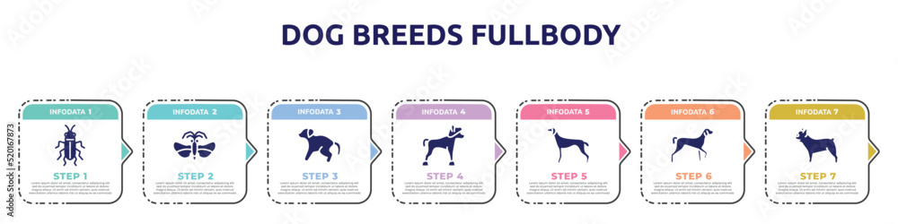 dog breeds fullbody concept infographic design template. included red soldier beetle, strepsiptera, scold the dog, chinese crested, greyhound, kurzhaar, french bulldog icons and 7 option or steps.