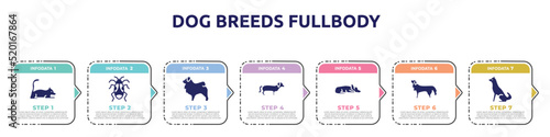 dog breeds fullbody concept infographic design template. included laying cat, pyrrhocoridae, tibetan mastiff, dachshund, sad dog, bernese mountain dog, akitas icons and 7 option or steps.