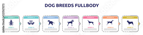 dog breeds fullbody concept infographic design template. included red soldier beetle, strepsiptera, scold the dog, chinese crested, greyhound, kurzhaar, french bulldog icons and 7 option or steps.