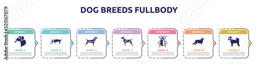 dog breeds fullbody concept infographic design template. included dog licking, dog smelling beagle, german shorthaired pointer, asparagus beetle, bernese mountain, bichon icons and 7 option or