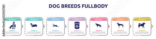 dog breeds fullbody concept infographic design template. included hughing dog, bas hound, border collie, pet food, german sheperd, rottweiler, malamute icons and 7 option or steps.