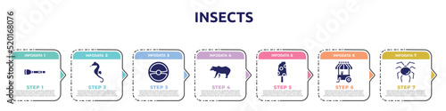 insects concept infographic design template. included torch, seahorse, steering wheel, grizzly bear, , ice cream cart, opiliones icons and 7 option or steps.