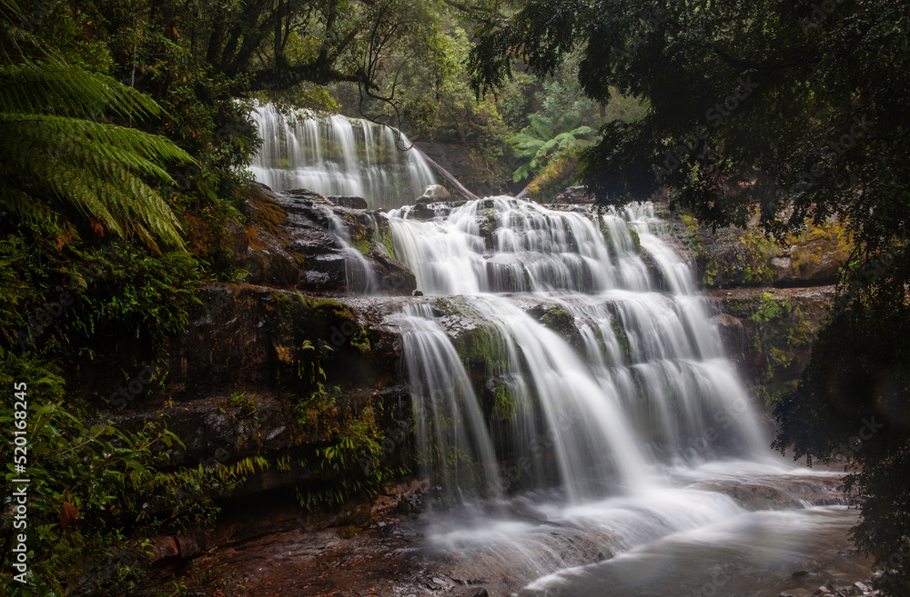 Liffey Falls Liffey Falls