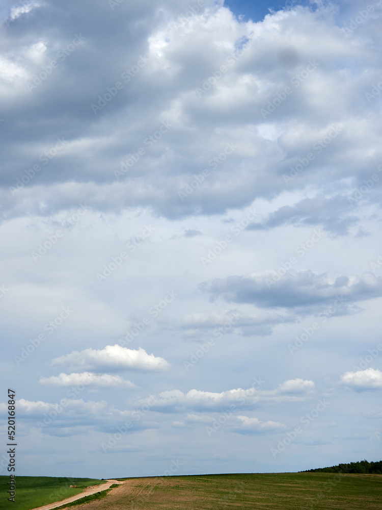 Cumulus clouds and field. Horizon and sky with field Cumulus clouds and field. Horizon and sky with field
