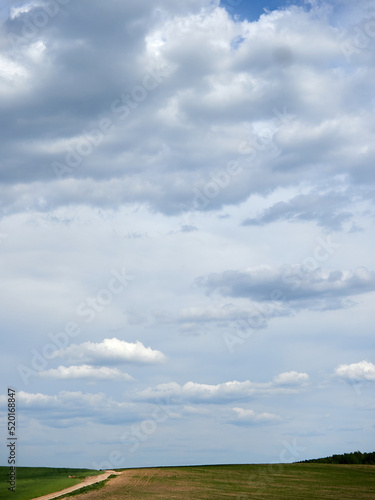Cumulus clouds and field. Horizon and sky with field © Sergey