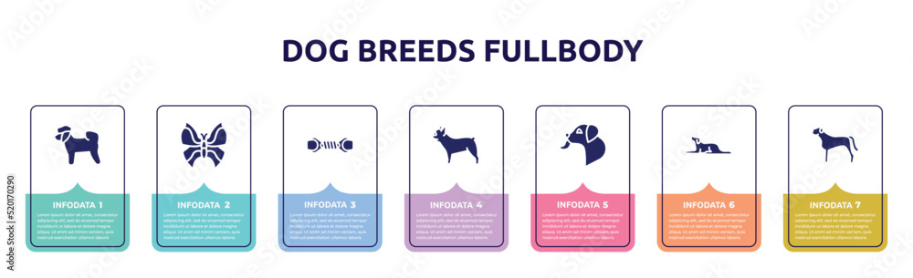 dog breeds fullbody concept infographic design template. included bichon, leaf butterfly, pet toy, french bulldog, dog licking, border collie, bullmastiff icons and 7 option or steps.
