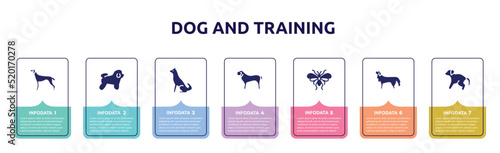 dog and training concept infographic design template. included greyhound, bichon frise, akitas, english mastiff, psocoptera, bernese mountain dog, scold the dog icons and 7 option or steps.