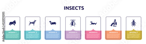 insects concept infographic design template. included sheltie, beagle, bas hound, asparagus beetle, dog lying, hughing dog, red soldier beetle icons and 7 option or steps.
