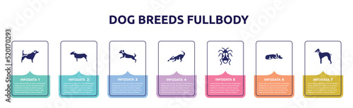 dog breeds fullbody concept infographic design template. included jack russel terrier, bullterrier, dog scaping, dogs playing, pyrrhocoridae, sad dog, bedlington terrier icons and 7 option or steps.