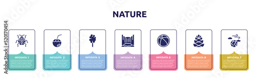nature concept infographic design template. included ladybird, coconut water, cotton candy, cataract, beach ball, pine cone, atmosphere icons and 7 option or steps.