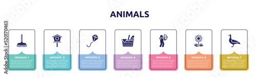 animals concept infographic design template. included rake, birdhouse, kite, picnic, hunter, sunflowers, goose icons and 7 option or steps.