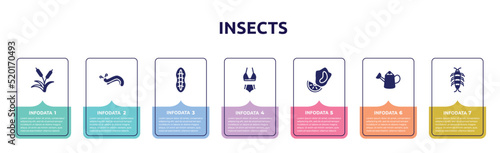 insects concept infographic design template. included reeds, slug, plankton, bikini, mussel, watering can, silverfish icons and 7 option or steps.