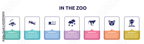 in the zoo concept infographic design template. included hibernation, diving, apartheid museum, snowy, monkeys, koala, biologist icons and 7 option or steps.