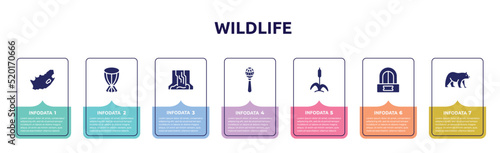 wildlife concept infographic design template. included south africa, african drum, waterfall, maracas, cattail, ticket office, carnivore icons and 7 option or steps.