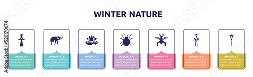 winter nature concept infographic design template. included ankh, safari, water lily, mite, gerridae, trainer, street light icons and 7 option or steps.