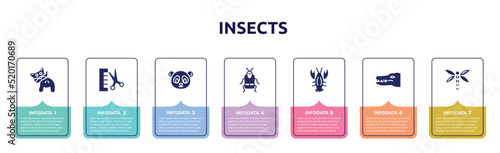 insects concept infographic design template. included anal gland expression, groomer, panda bear, crioceris, lobster, crocodile, dragon fly icons and 7 option or steps.