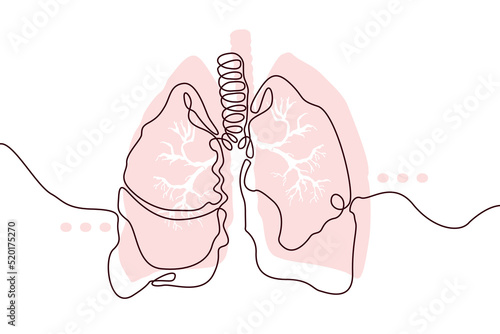 Lungs Hand drawn icon continuous line drawing. Human organs Creative abstract art background Trendy concept One single line design. Outline simple image black and white color Vector