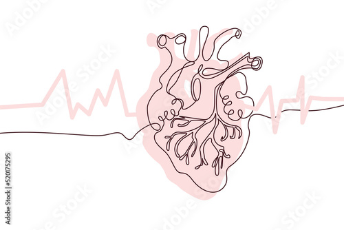 Heart Hand drawn icon continuous line drawing and pink flat silhouette. Human organs. Medicine trendy concept One single line design. Outline simple image black and white Vector