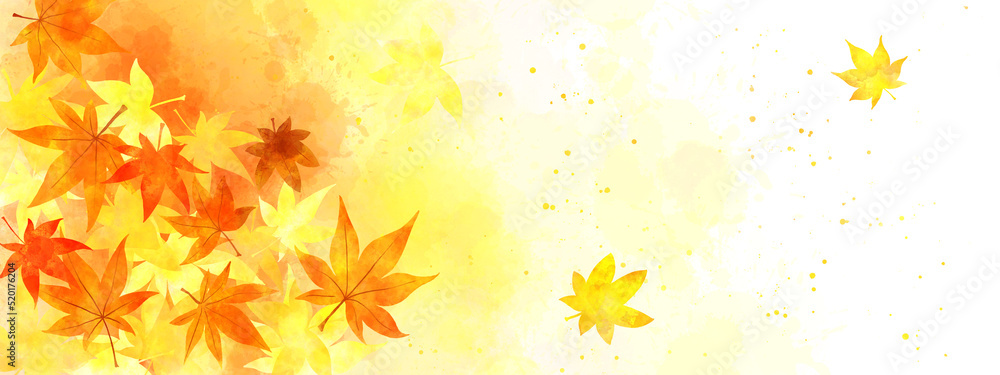 Background graphics of red autumn leaves and fallen leaves. An illustration of a hand painting image in watercolor format. Background graphics of red autumn leaves and fallen leaves. An illustration of a hand painting image in watercolor format.