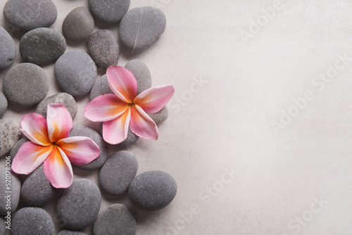 frangipani and zen like grey stones with copy space on gray background Fototapet