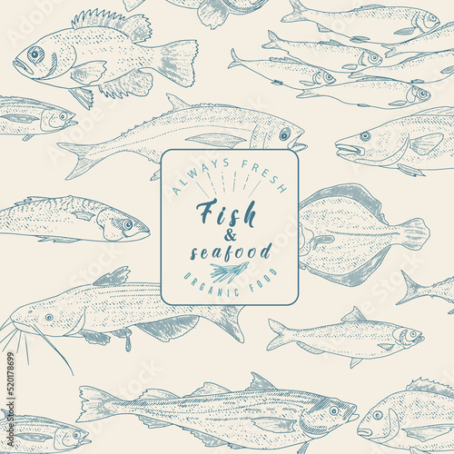 Fish sketch collection in engraved style. Hand drawn seafood frame, fish menu. Hand drawn salmon, perch, tuna, flounder, herring, trout, codfish mackerel