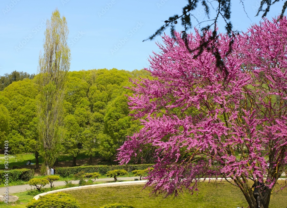 Park in Rome Park in Rome