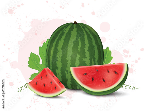 Watermelon fruit vector illustration with watermelon fruit slice