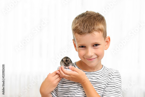 boy holding a hamster, close-up