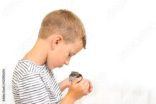 boy holding a hamster, close-up