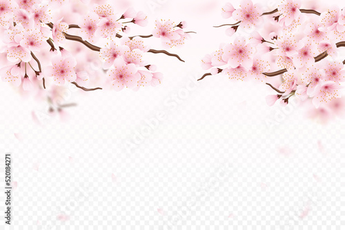 Sakura cherry blossom. 3d overlay flower tree, transparent japanese spring pink landscape, realistic nature. floral branches, wedding invitation decor with copy space. Vector isolated poster